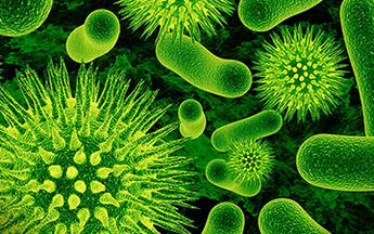 infection